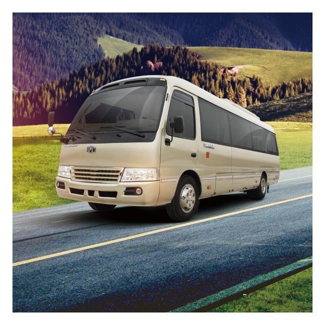 6m 19 Energie Sitz-Zev Buss LHD holen reinen elektrischen Mini Bus 89,7 KWH zurück